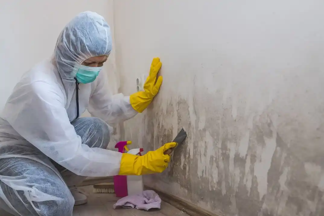 water damage restoration service Delaware-West Ferry